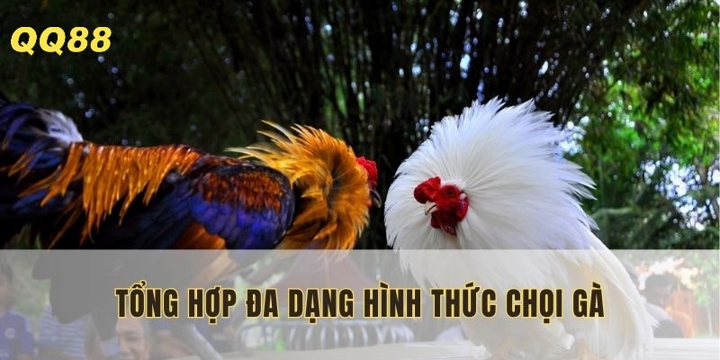 Người chơi dễ dàng tìm kiếm thể loại phù hợp