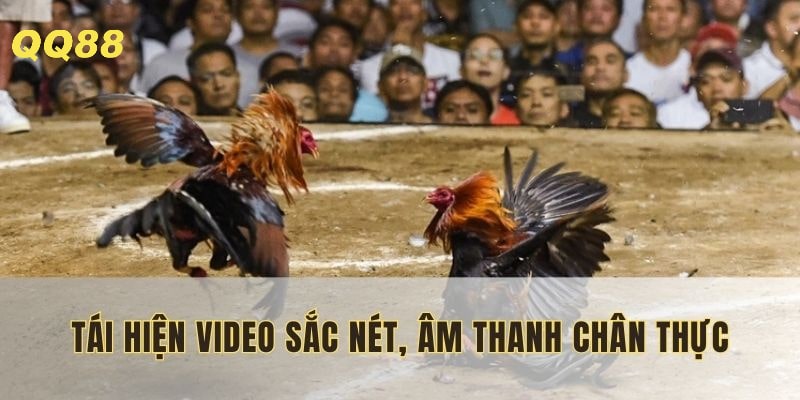 Xem giải đấu đa góc cạnh, dự đoán chính xác